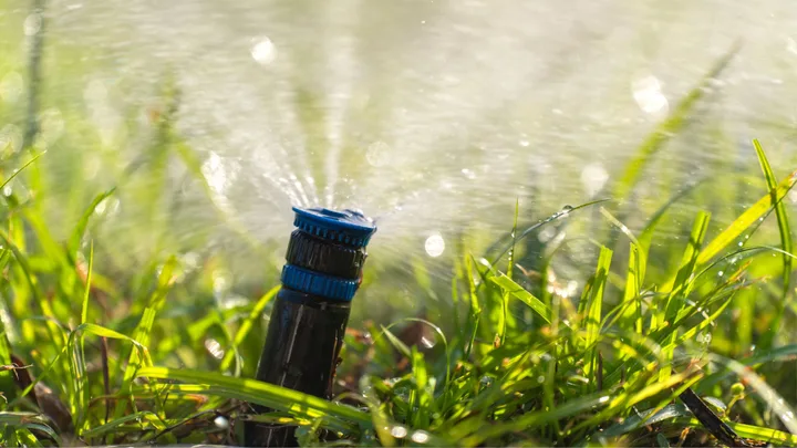 watering lawn