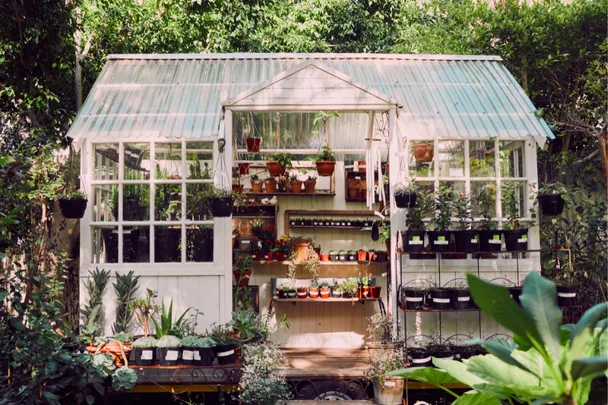 garden greenhouse