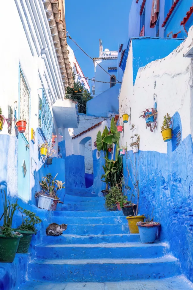 the blue city chefchaouen morocco with blue and white painted walls and steps and little pot plants dotting the stairway