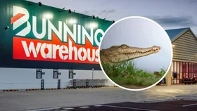 bunnings crocodile