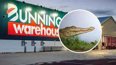 bunnings crocodile
