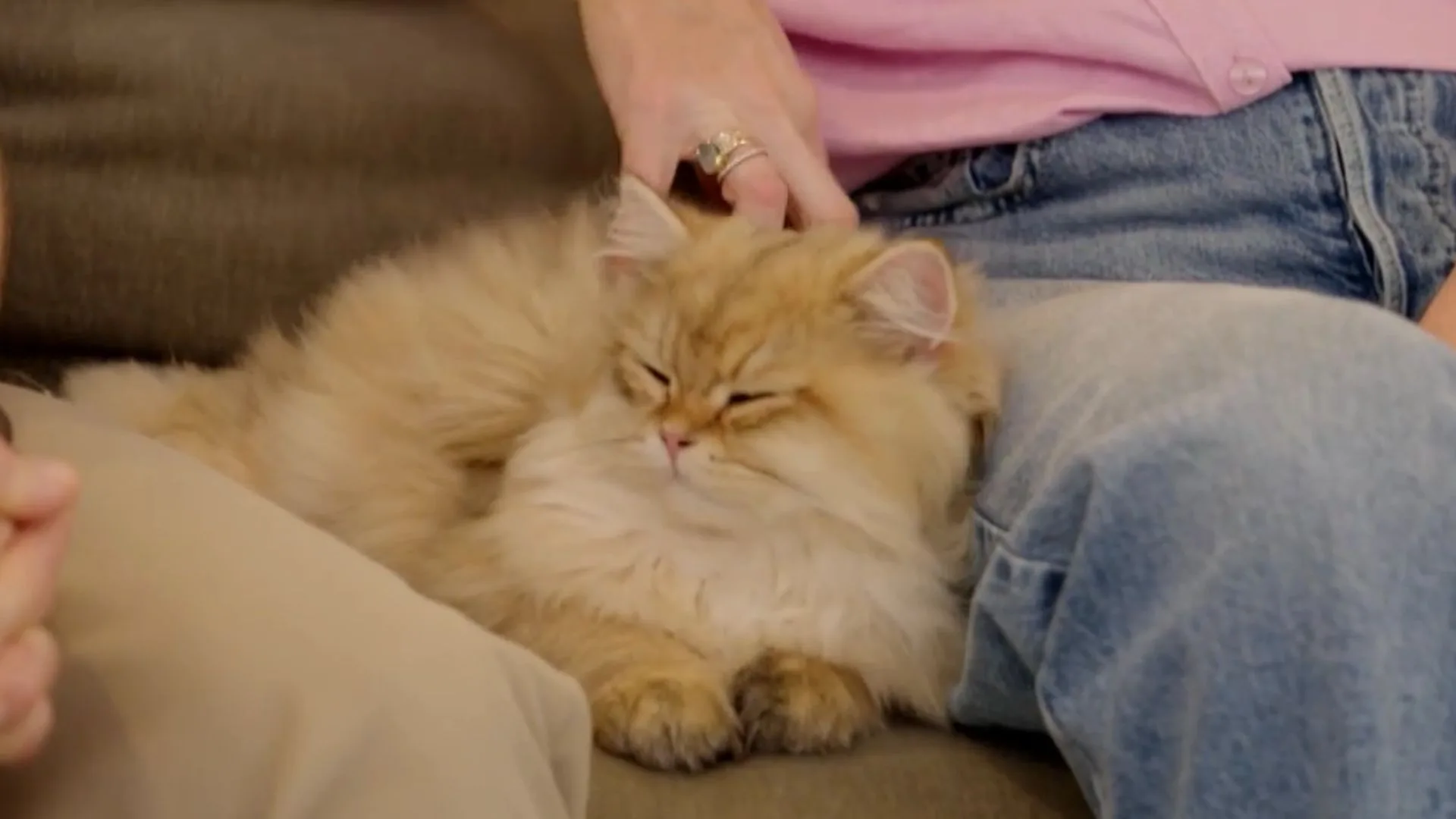 charlie albone and juliet loves cat