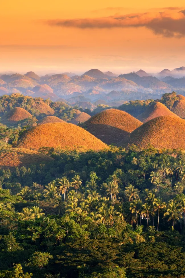 chocolate hills on bohol island in philippines with palm trees and large brown mountains