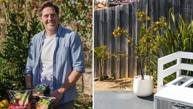 Charlie Albone and a lemon tree growing in a pot