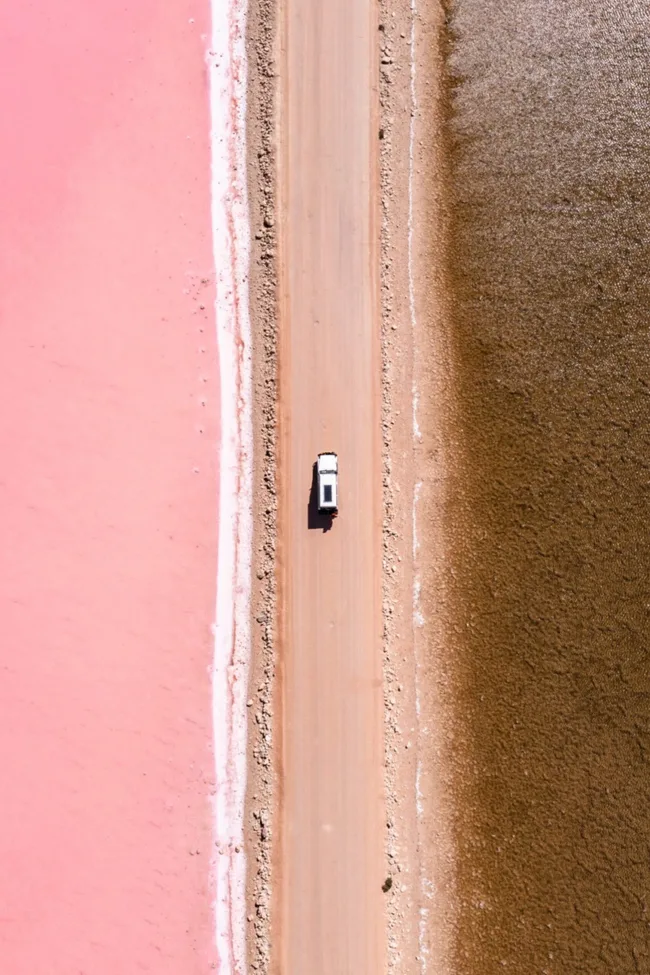 lak macdonnell in penong south australia with brown clear lake on one side of road and bright pink on the other and car driving through