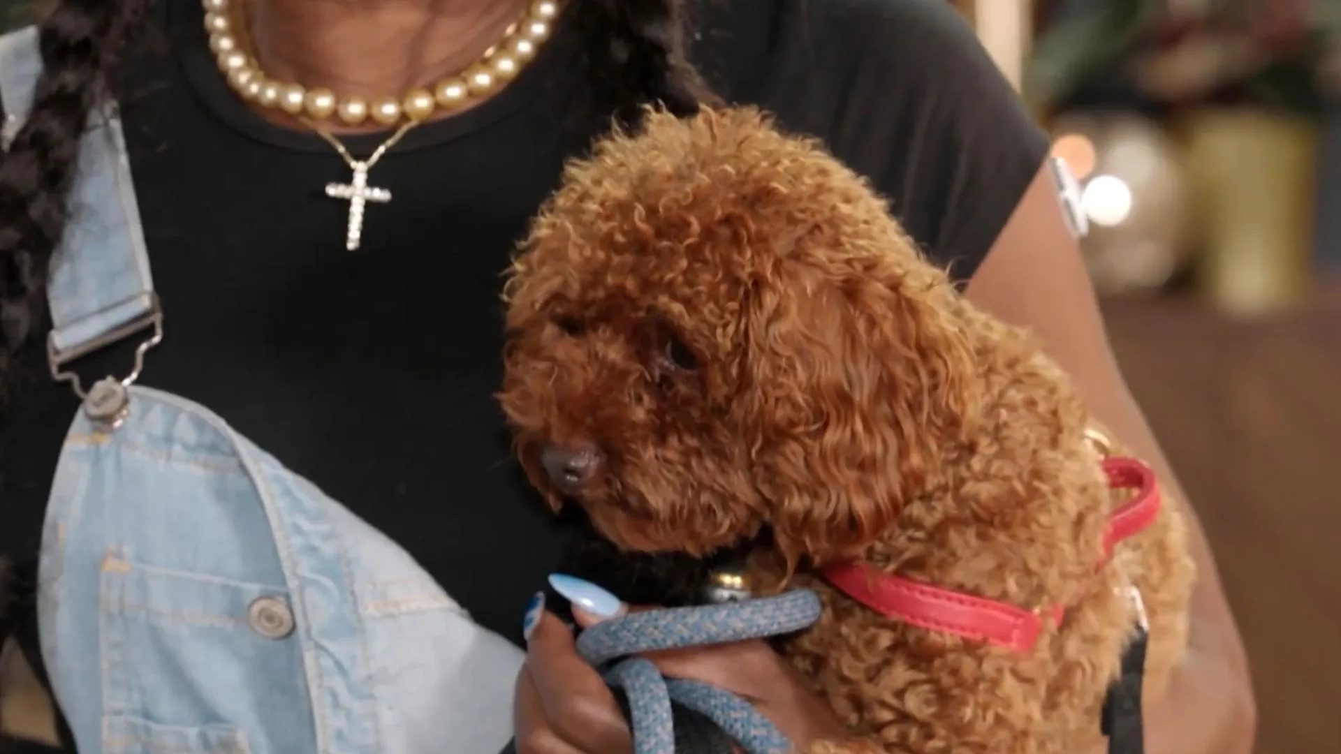 marcia hines holdeing her dog, brother.
