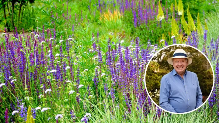 Graham Ross’s secret to a stunning meadow garden? It all starts with the right seeds