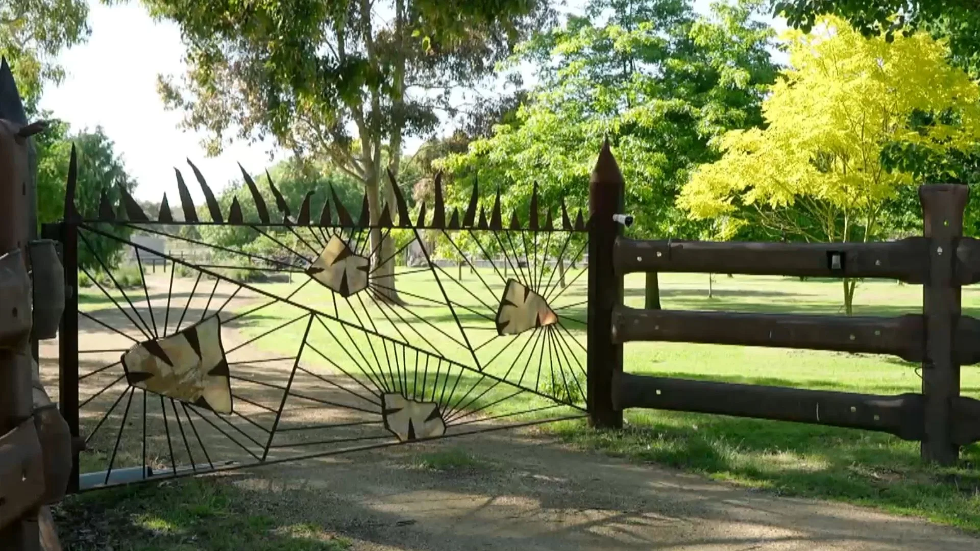 Millie savage front welded gate