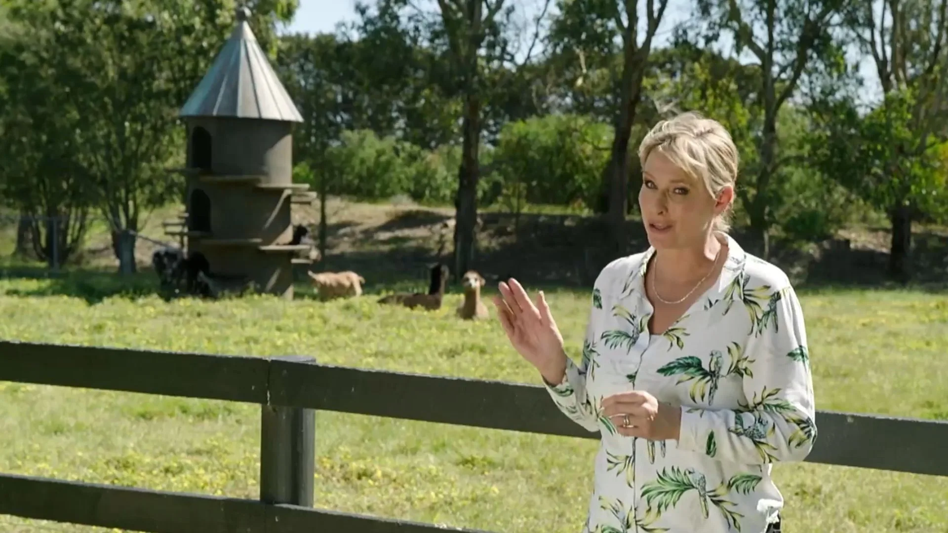 Millie savage goat tower