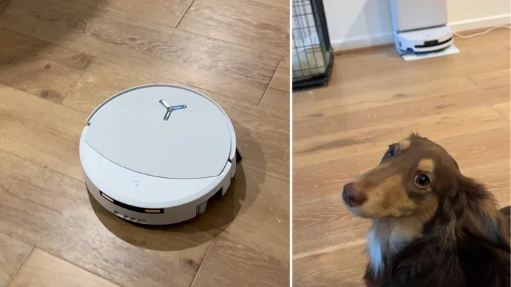 Is Ecovacs DEEBOT T90 PRO OMNI worth it if you have a dog? I put it to the test