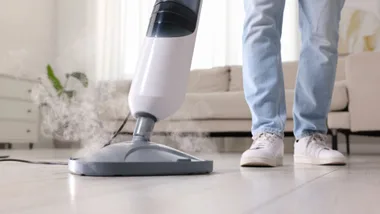choice reveals best steam mop