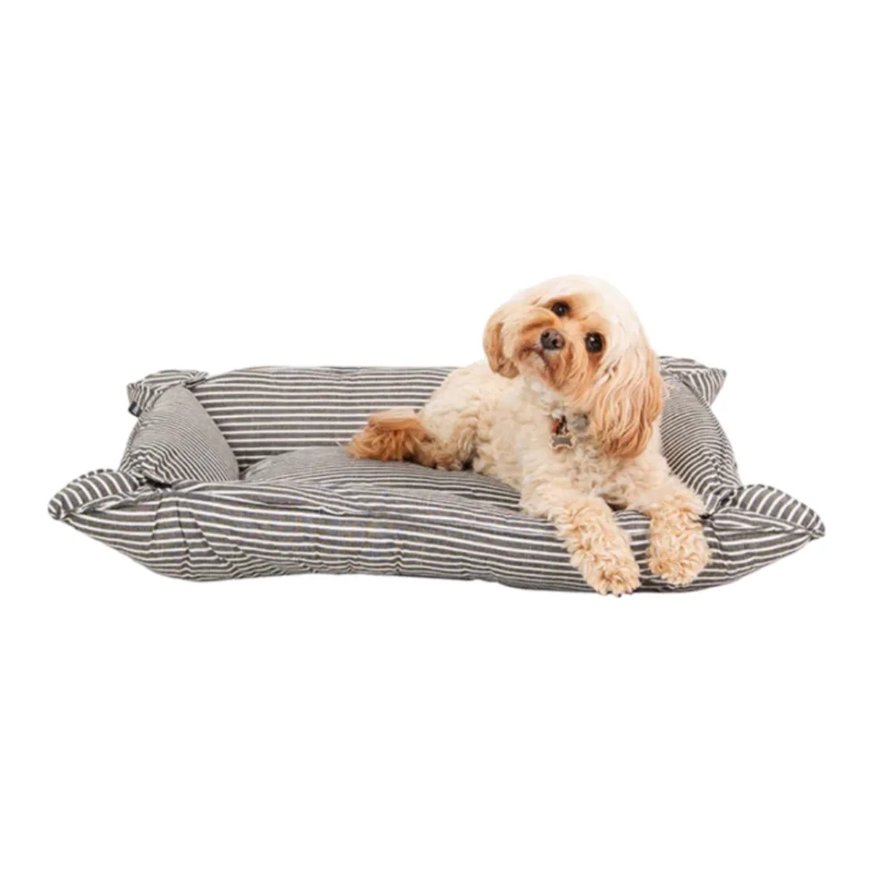 Kazoo Wombat Orthopaedic Dog Bed Toggle Cream + Pet Circle Sale + Pet Beds on sale