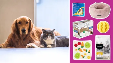 Pet Circle Sale Guide + Pet Food Sale + Pet Bed Sale + Pet Accessory Sale