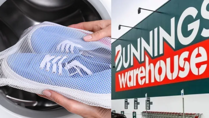 bunnings shoe dryer