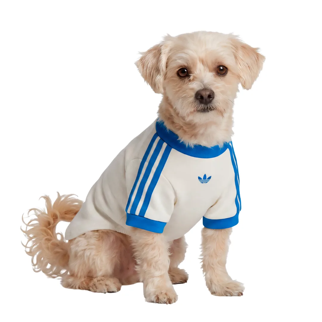 Adidas Pet Cali Tee + Stylish Dog Clothes + Best Dog Clothes & Accessories 2026