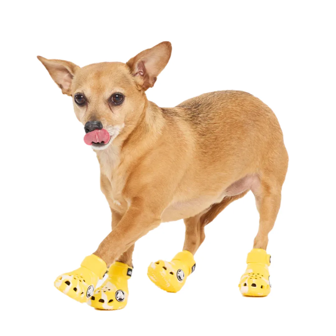 BarkBox Yellow Crocs Dog Shoes + Stylish Dog Clothes + Best Dog Clothes & Accessories 2026