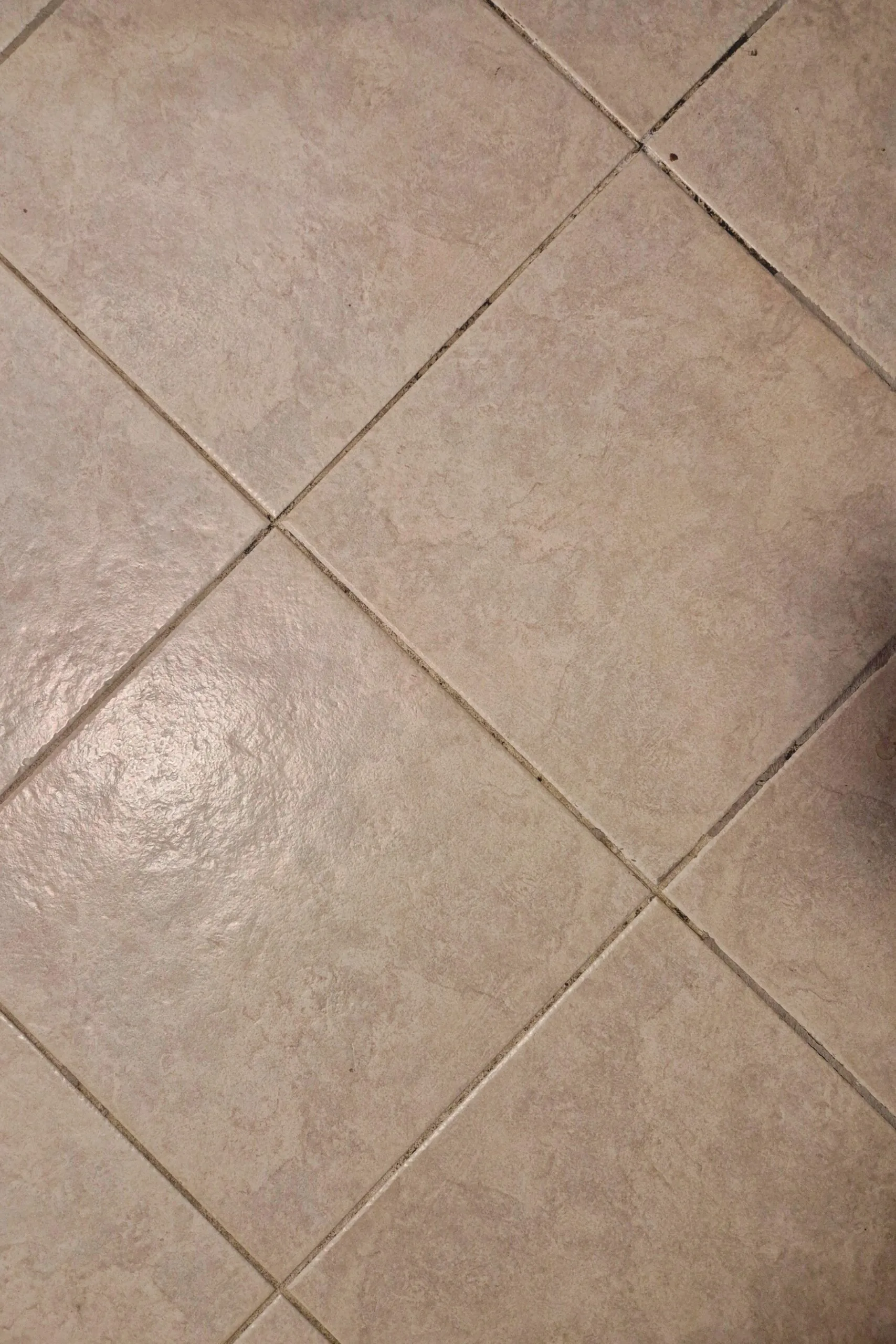 Tile grout before using Britex Tile and Grout Cleaner