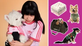 Keep your pup cosy with these must-have dog clothes and accessories