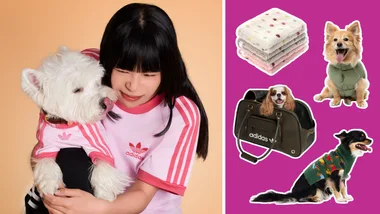 Best Pet Clothing and Accessories Australia 2026 + Best Pet Accessories for winter + Adidas + Petbarn + Petstock