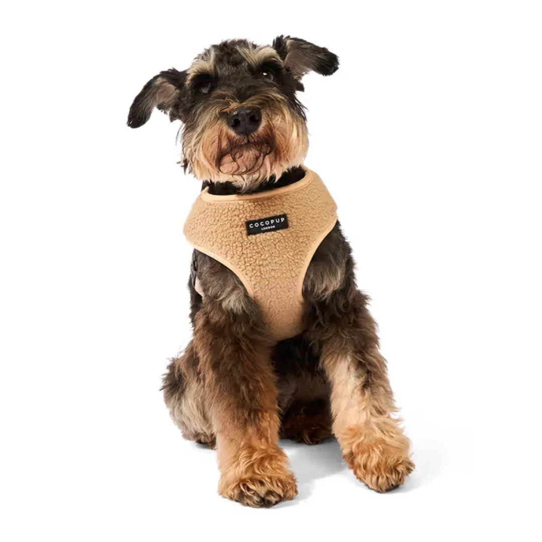 Cocopup London Adjustable Dog Harness in Teddy Rupert Beige + Best Dog Clothes & Accessories 2026