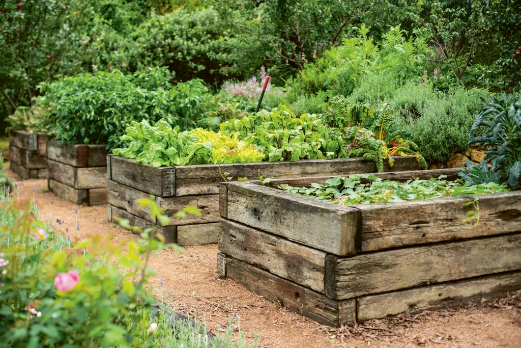 Jimmy Barnes and Jane Barnes raised sleeper garden beds