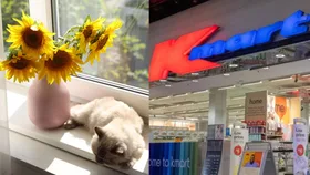 kmart window sill cleaner