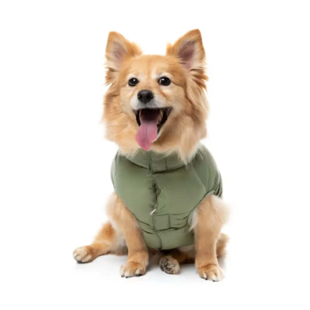 Pet Circle Fuzzyard East Harlem Dog Puffer Jacket in Khaki + Stylish Dog Clothes + Best Dog Clothes & Accessories 2026