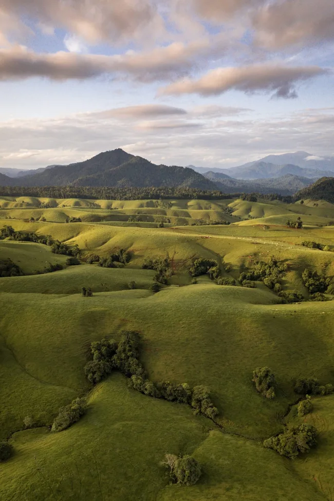 atherton tablelands large green fields with mountains in the background