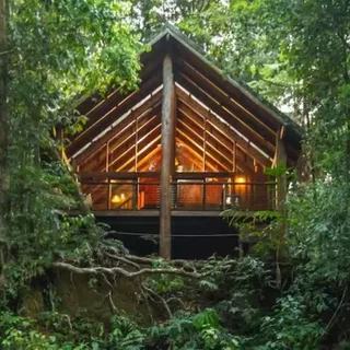 Tarzali Treehouse