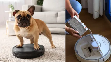 A spliced image with the left side featuring a tan French Bulldog standing on a black robot vacuum, and the left side depicting a person cleaning the filter of a white robot vacuum