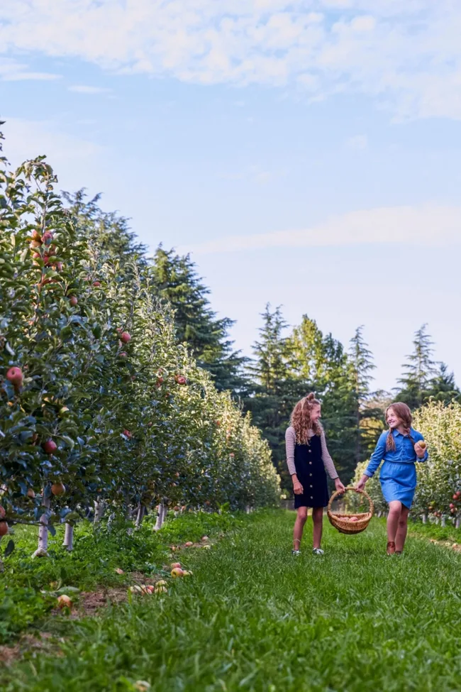 bilpin cide with apple orchard lining each side and two girls holding basket between them