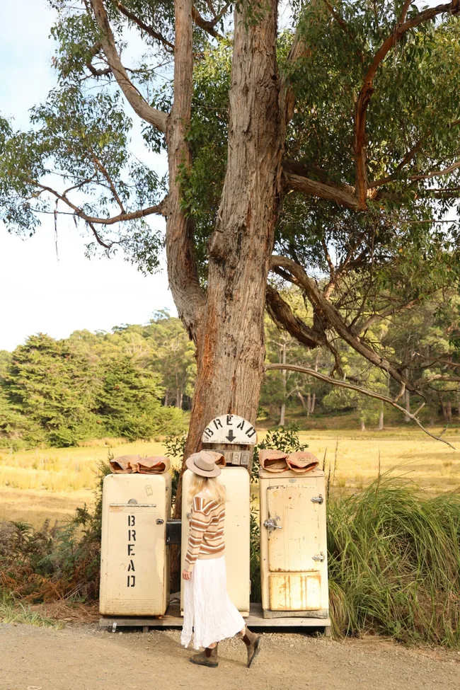 bruny island bakery fridges with boho lady standing in front and giant gum tree behind