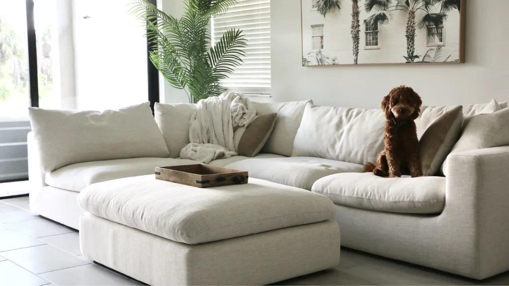 how to choose a Pet-friendly sofa
