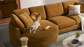 How to pick a sofa that survives your family