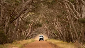 10 Aussie holidays that food lovers are quietly obsessing over 