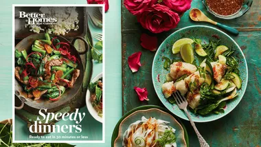Download your FREE Quick Weeknight Dinners E-Book