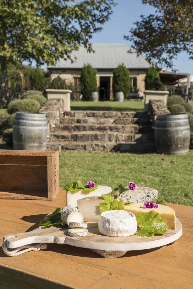 cupitts estate in milton nsw with cheese board and grapes in foreground