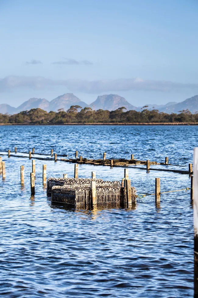 oyster racks in water on tasmania east coast