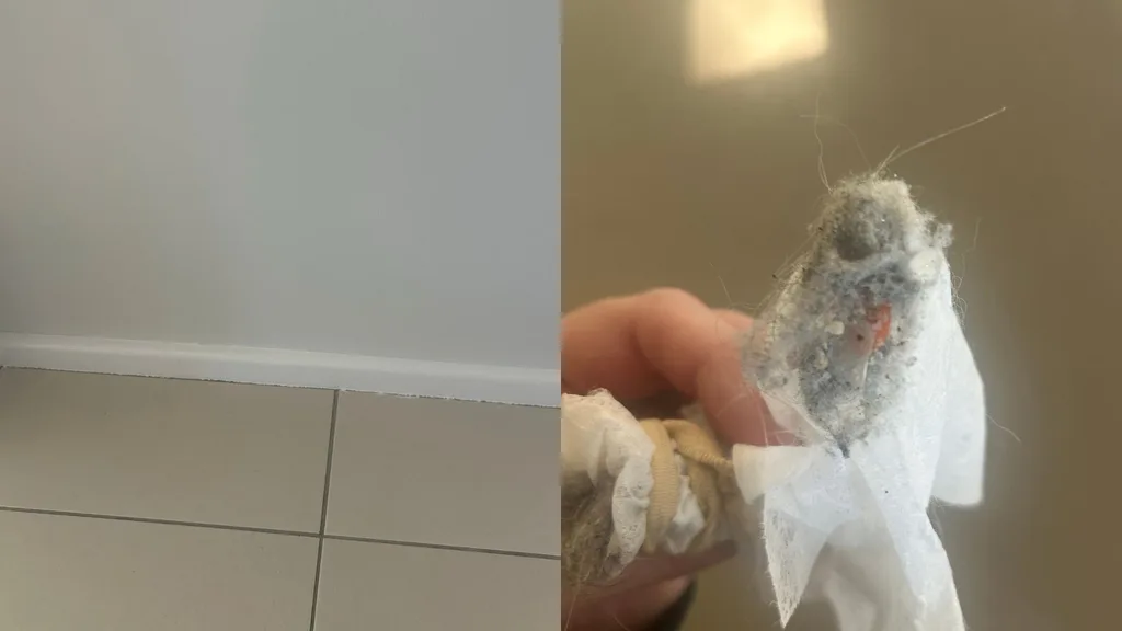 skirting board cleaning