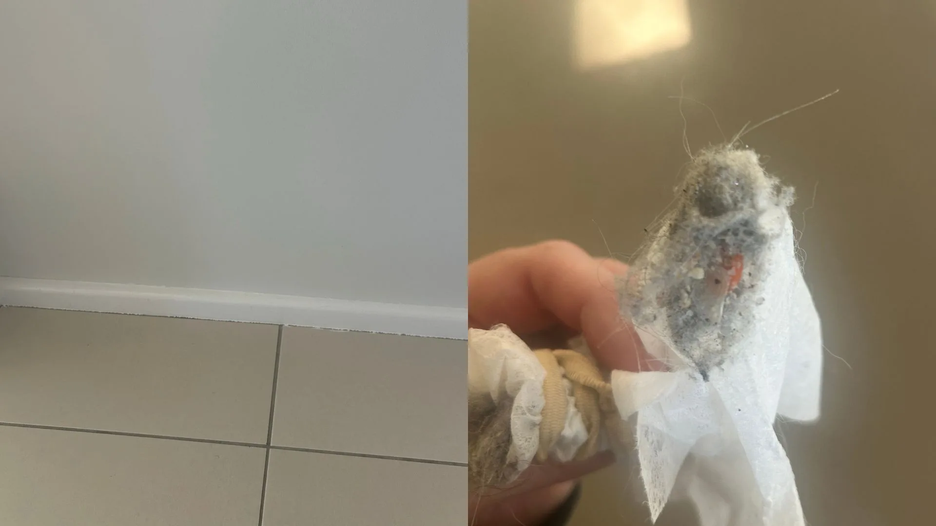 skirting board cleaning