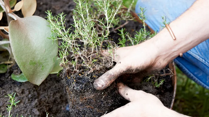 This common winter gardening habit could be damaging your skin