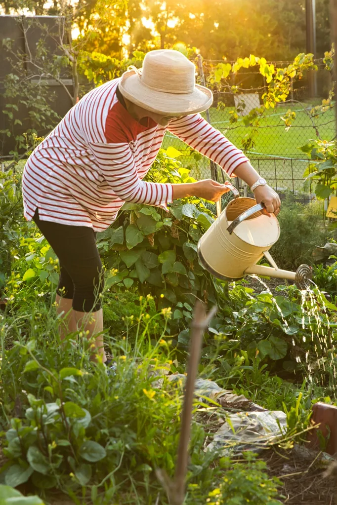Woman gardeing in Sydney Australia while wearing a hat