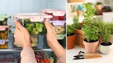 Food Waste Reduction + How to waste less food + Australia