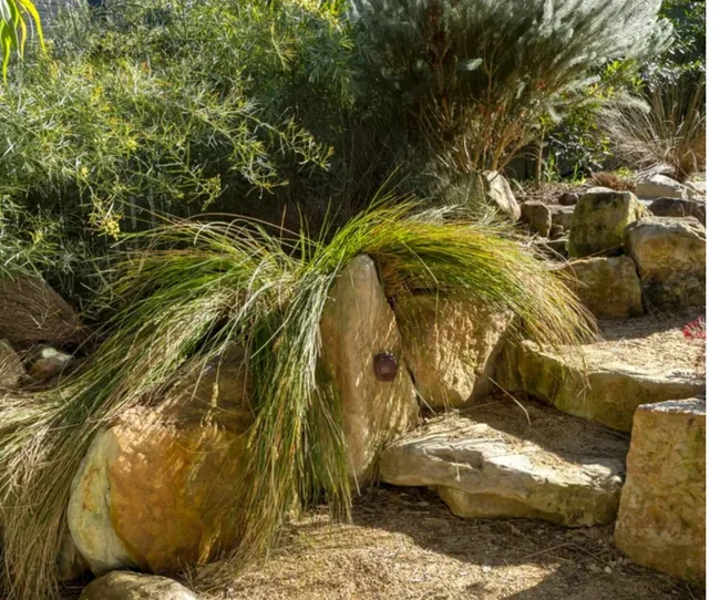 hardscaping-backyard-Brent Wilson