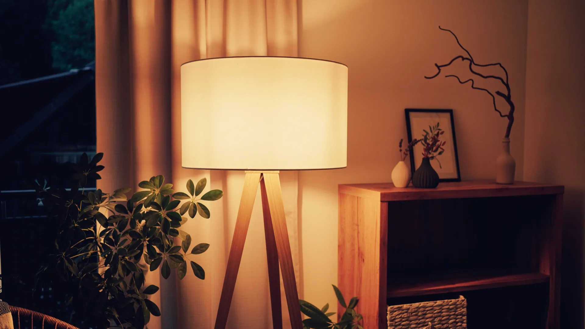glowing standing lamp with white curtains and several indoor plants 