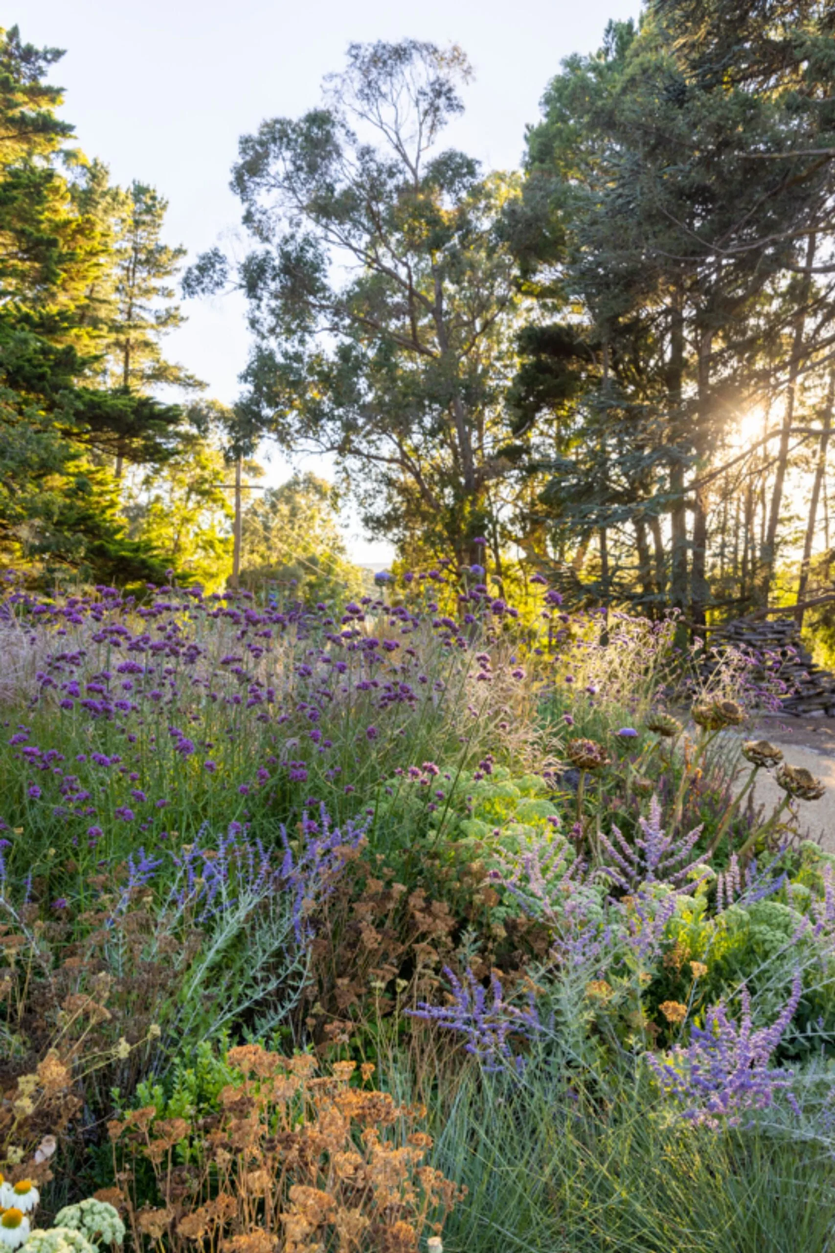 Natash'a garden