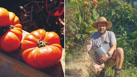 Paul west growing vegies