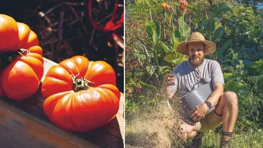 Paul west growing vegies