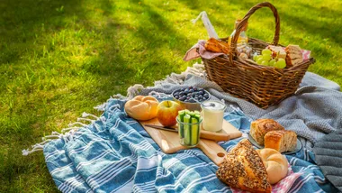 Best Picnic Blankets + Picnic Baskets + How to plan a picnic