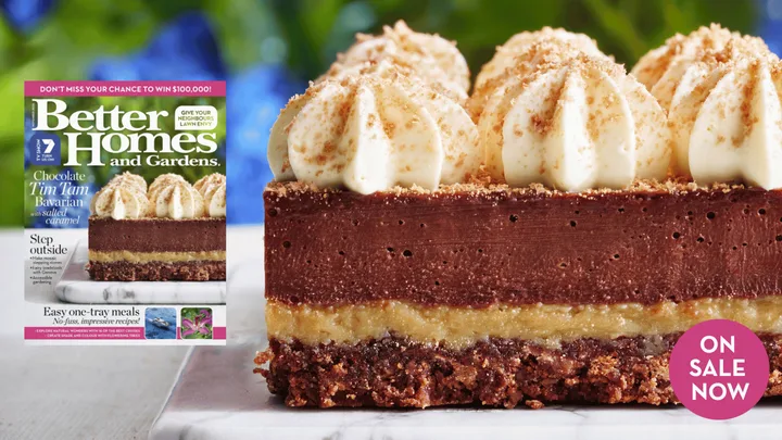A Tim Tam chocolate slice from the latest issue of Better Homes and Gardens magazine.